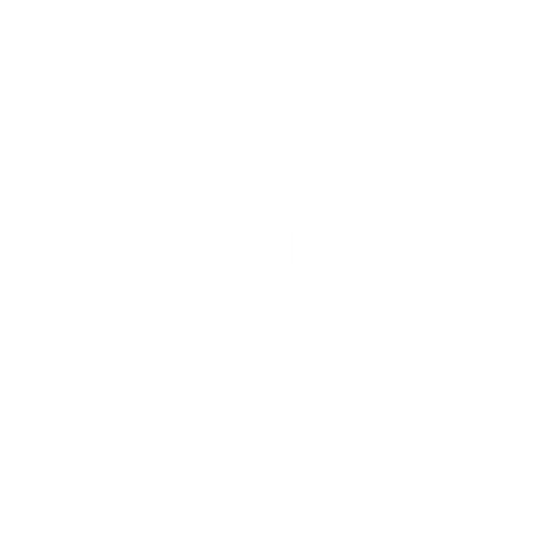 Humaniza Logo Branco